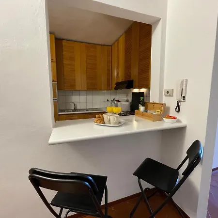 At The Boboli Garden Carola Loft Apartment *